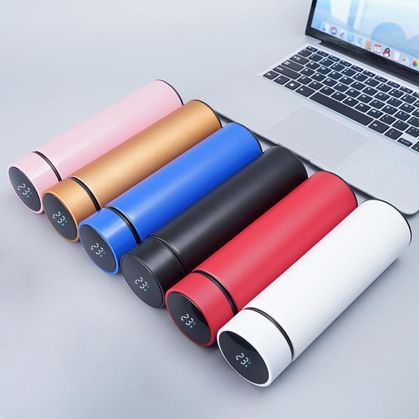 Insulated Temperature Water Bottle-Keeps Water Cold, Perfect For Gym